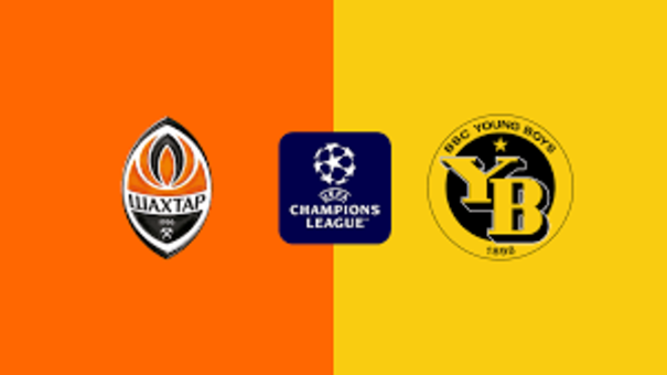 Nhận định Shakhtar Donetsk vs Young Boys 0h45 ngày 7/11 (Champions League 2024/25). Hãy đến SHBET thể thao trực tuyến.